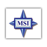 msi_logo_11_2